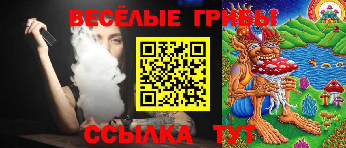 Гай  Псилоцибиновые грибы мицелий  Вход с VPN 