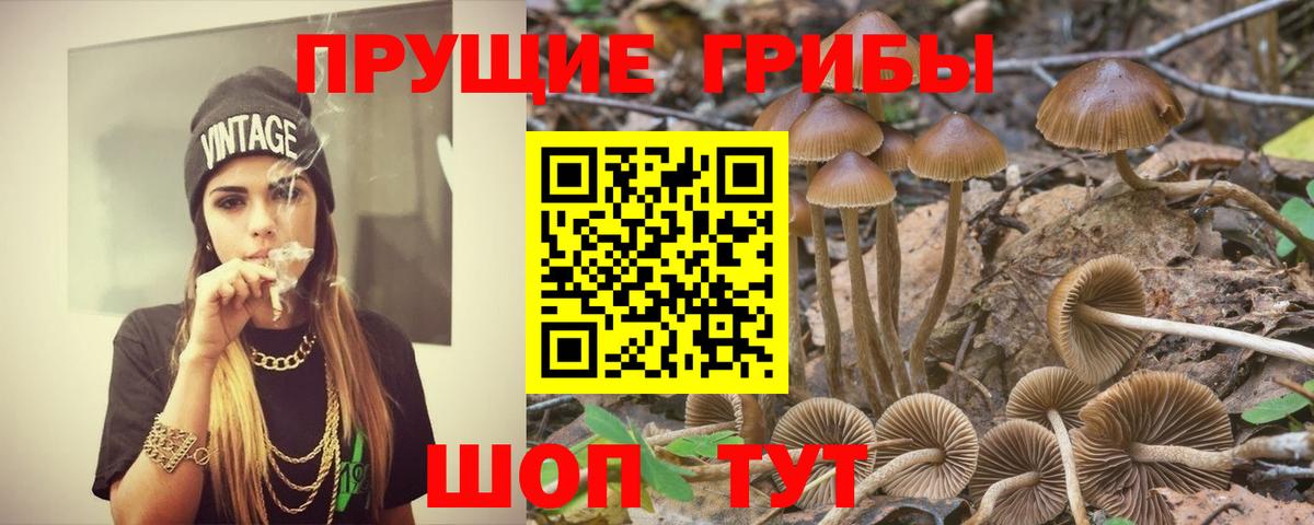 Галлюциногенные грибы GOLDEN TEACHER Гай